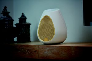 Linn launches the world’s best-sounding wireless speaker at Harrods