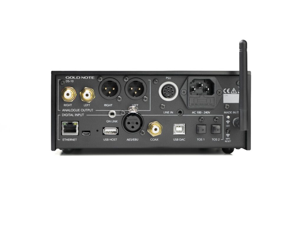 Gold Note DS-10 Evo rear panel