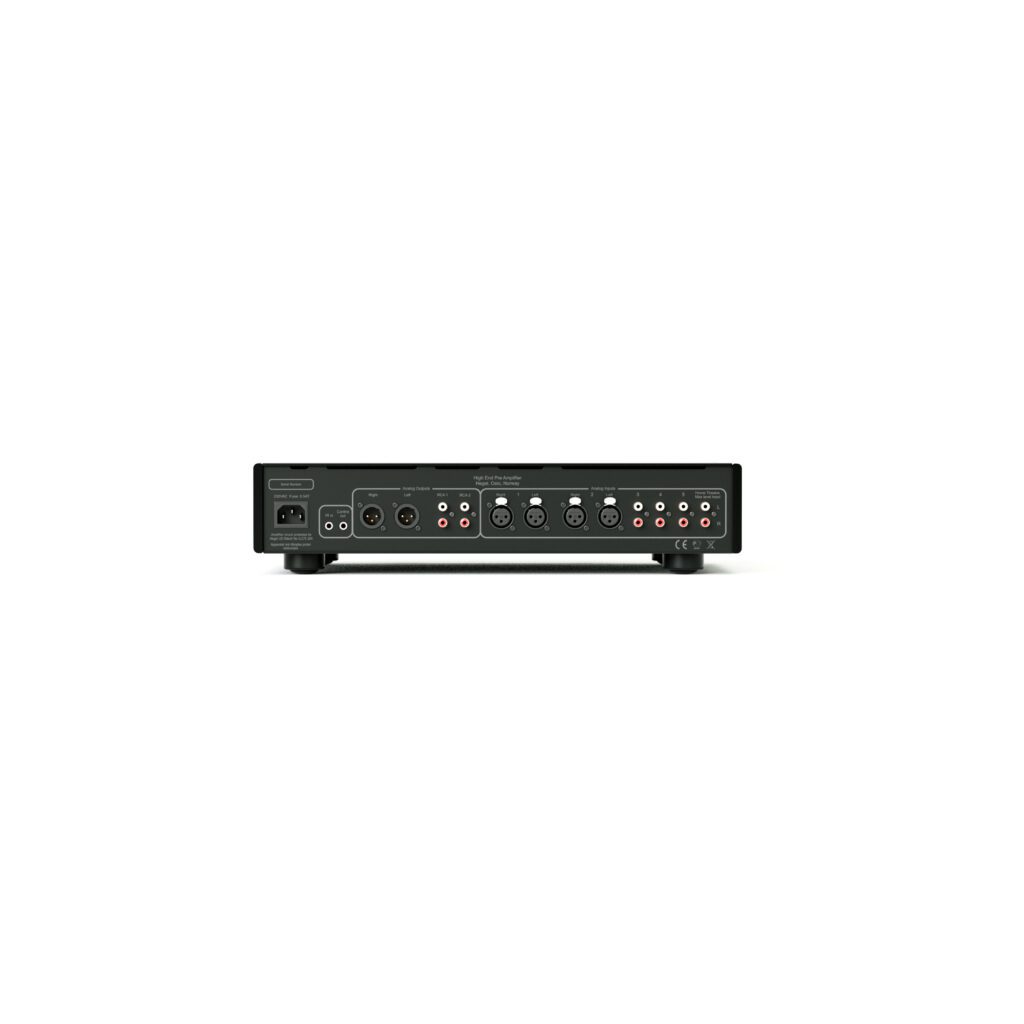 Hegel P30A rear panel