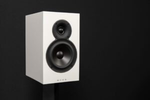 Moon Voice 22