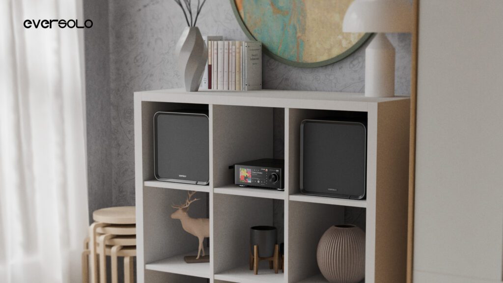 Eversolo SE100 lifestyle