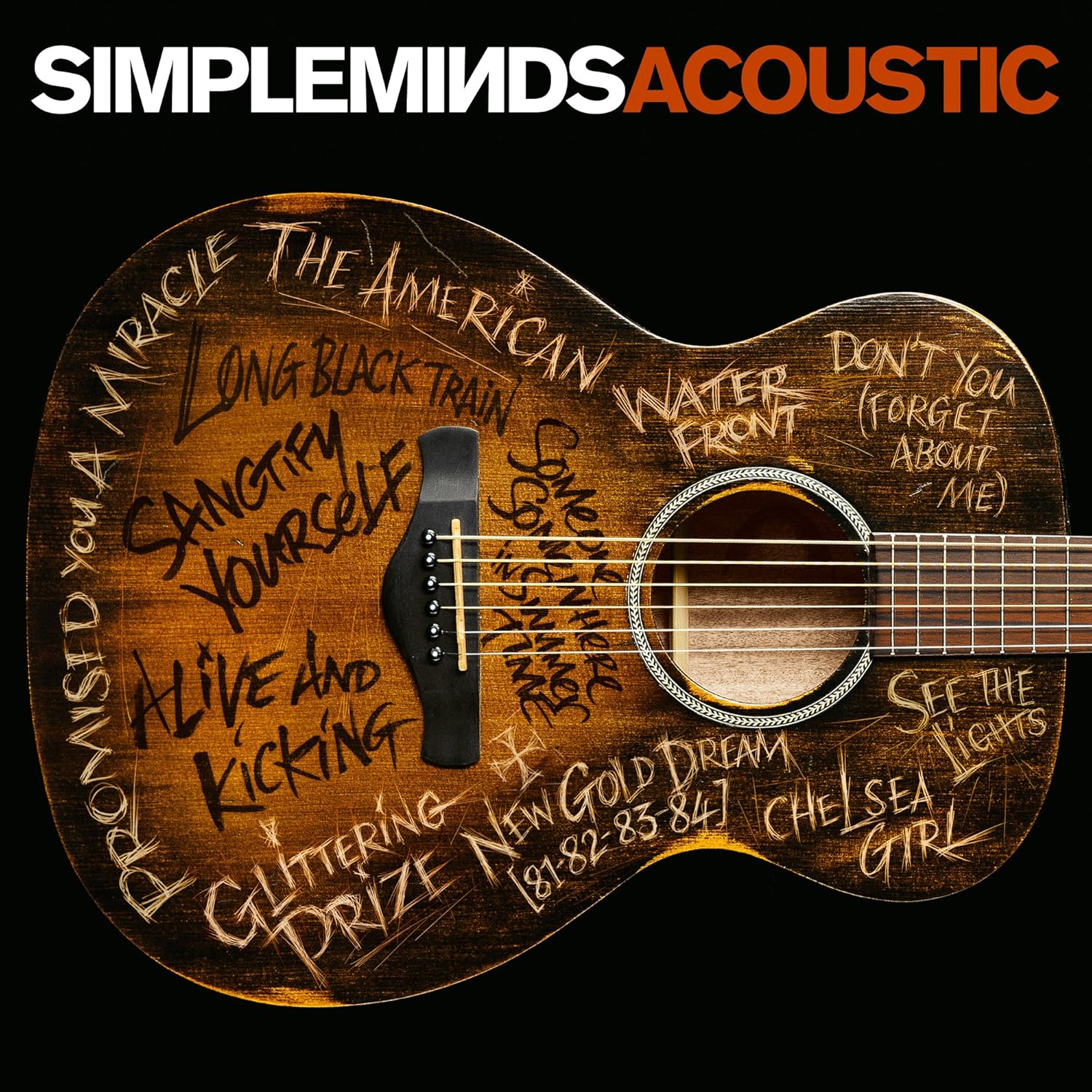 Simple Minds: Acoustic