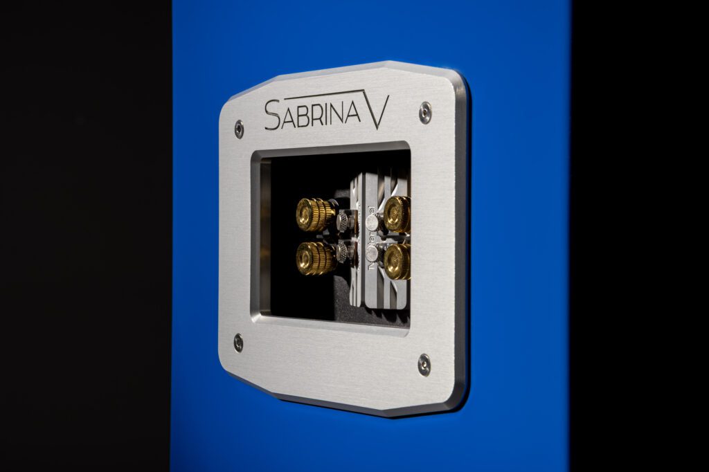 33216_Sabrina V (Bugatti Blue; resistor access panel detail)